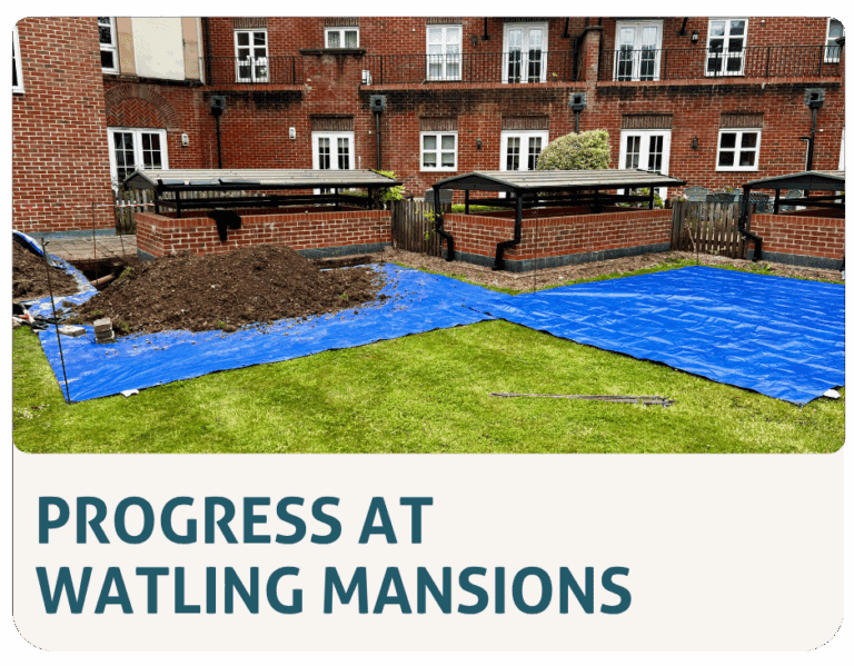 Work in Progress : Watling Mansions – 12.06.25